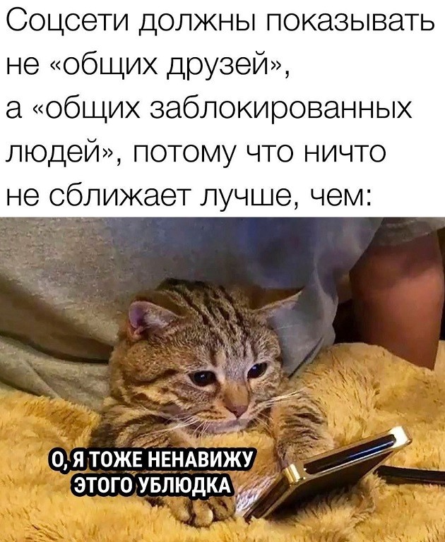картинка f6efc17dde 21061185