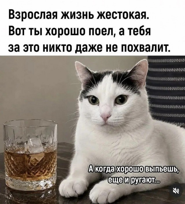 картинка f996bfb2c1 21122200
