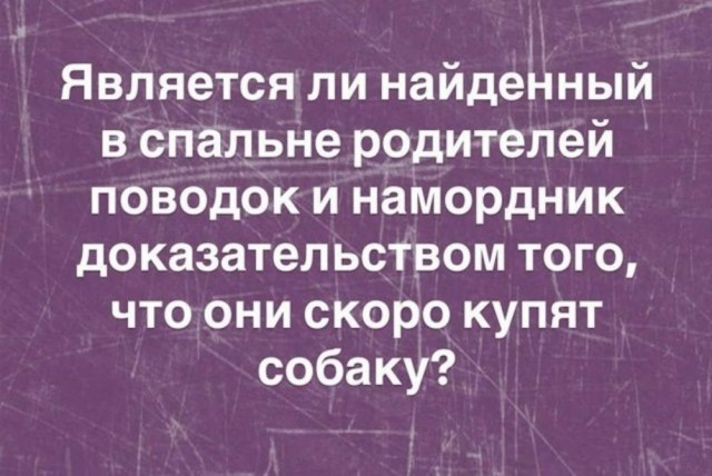картинка fbf54bc116 21091900