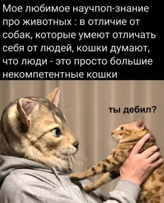 Понедельник — день тяжелый? Только если вы не решили начать его с порции хорошего настроения! ☕️✨ Понедельник — день тяжелый? Только если вы не решили начать его с порции хорошего настроения! ☕️✨ сегодня, знаем, смейтесь, Надеемся, помогут, выдохнуть, улыбнуться, настроиться, продуктивный, легкий, ладЛистайте, карусель, помните, начале, пятницы, осталось, всего, какой, Делитесь, комментариях