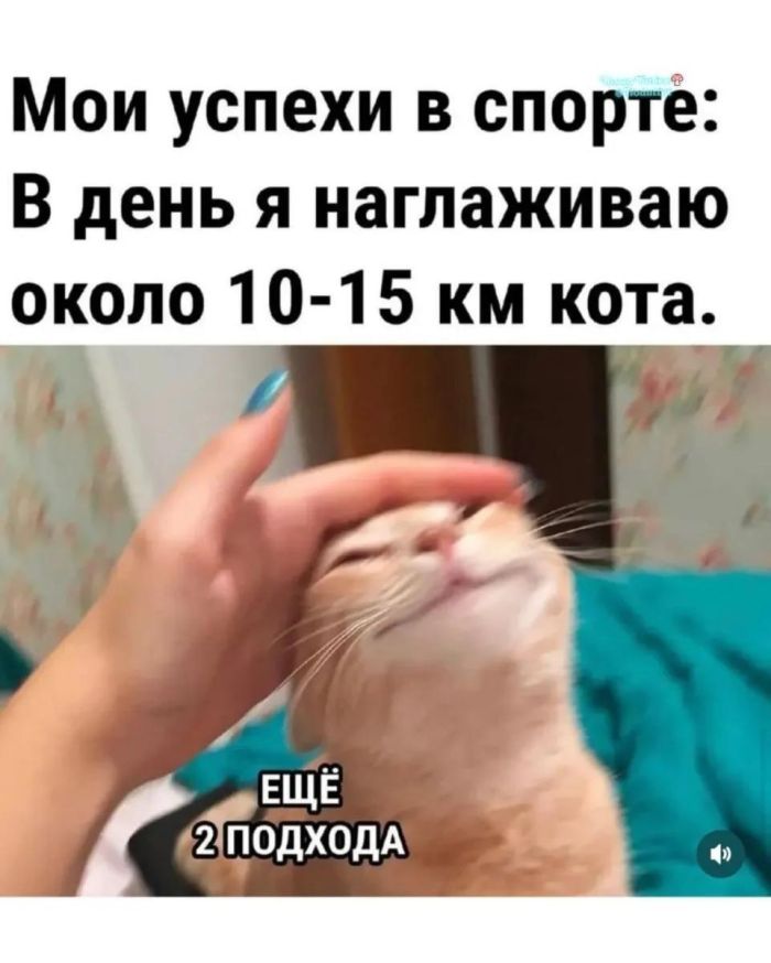 Выходные — это маленькая жизнь, и прожить её нужно с улыбкой! 😊 знаем, новый, ☕️✨Погнали, вместе, настроением, отличным, заряжайтесь, покрепче, наливайте, поудобнее, Устраивайтесь, мемов, приколов, сборник, собрали, иногда, Поэтому, недели, рабочей, после