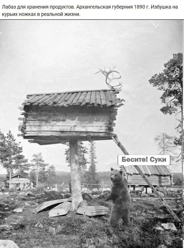 картинка 03859c4c73 ostorozhno uroven cinizma zashkalivaet 9