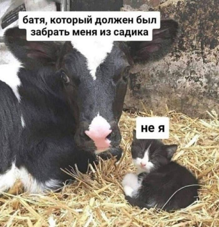 картинка 042db1a672 pjatnica malenkaja pobeda 4