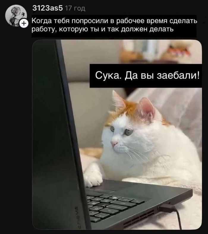 🔞 Осторожно, уровень пошлости зашкаливает! просили, читайте, неловких, ситуаций, ответов, после, которых, хочется, помыть, глаза, просто, громко, поржать👇, Залетайте, комменты, помните, контентаВ, предупреждали, какой, самый