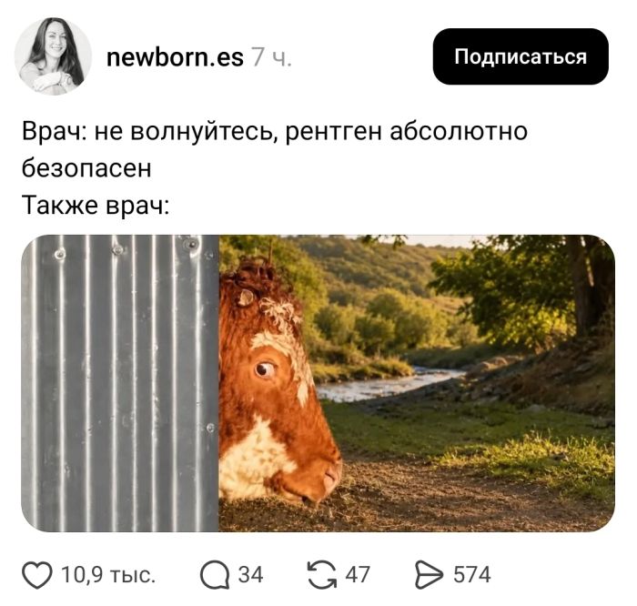 Готовы к дозе позитива? Держите подборку интернет‑юмора — пусть день станет чуточку веселее! 😄 Представляем, здесь, голосПредыдущая, смеяться, Приготовьтесь, настроение, поднимет, гарантированно, который, отборный, скуке, вашему, Забудьте, интернета, глубин, прямиком, комментариев, мемов, подборку, огромную