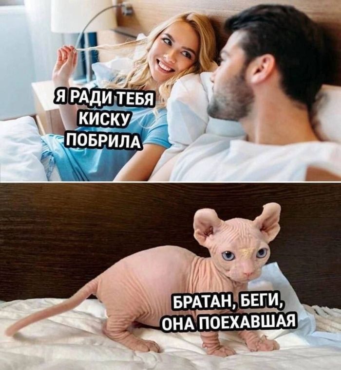 картинка 0b18c7a8c9 ostorozhno uroven cinizma zashkalivaet 6