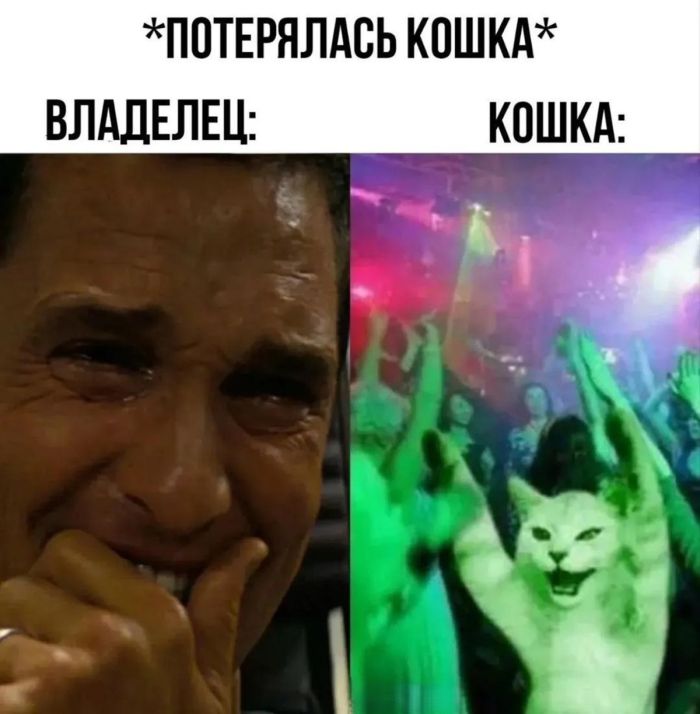 картинка 0ba538cc5c 0000000000000000000