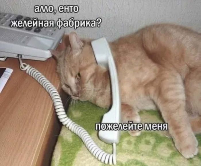 картинка 10d0661107 pjatnica malenkaja pobeda 11