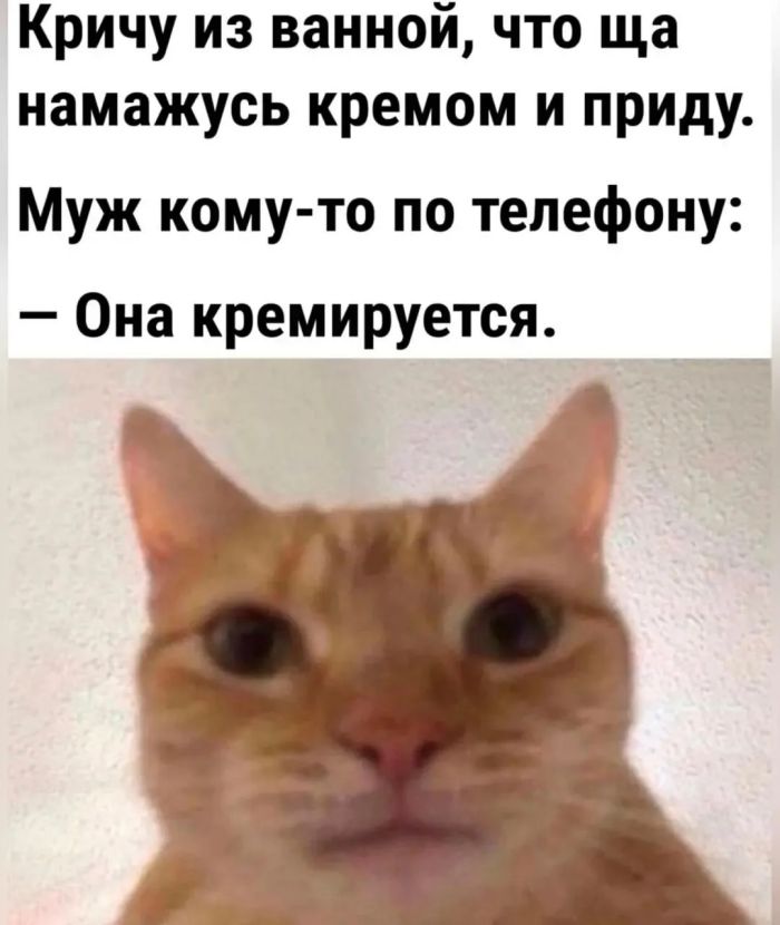 картинка 1bd5252b41 000000000