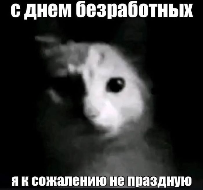 картинка 1cd78c5197 chernyj jumor jeto kak eda ego ponimajut ne vse  5