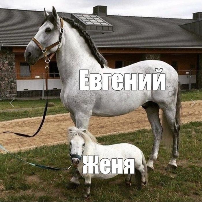 картинка 1fe496f065 ustali ot sereznosti vremja podnjat sebe nastroenie 8