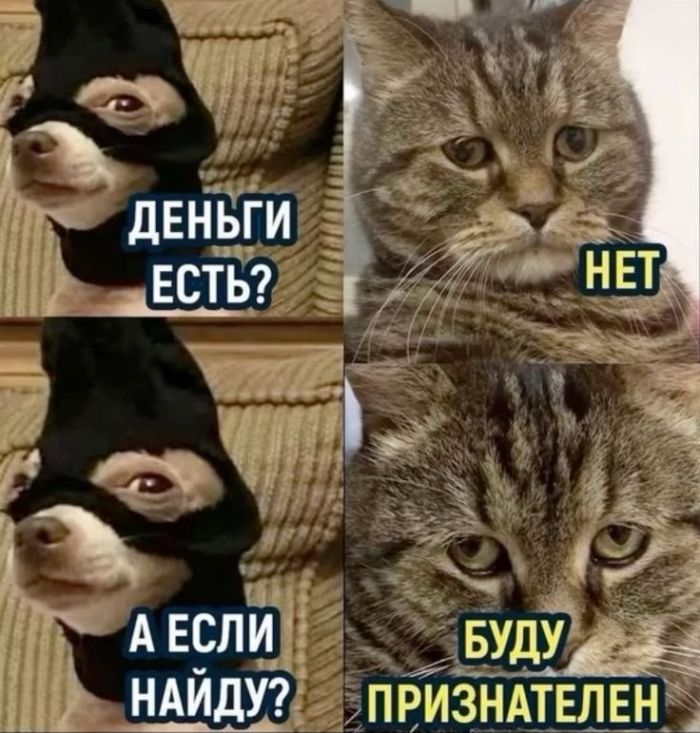 картинка 21105894a2 sbornik pozitiva shutki memy i kartinki chtoby den stal chutochku luchshe 17