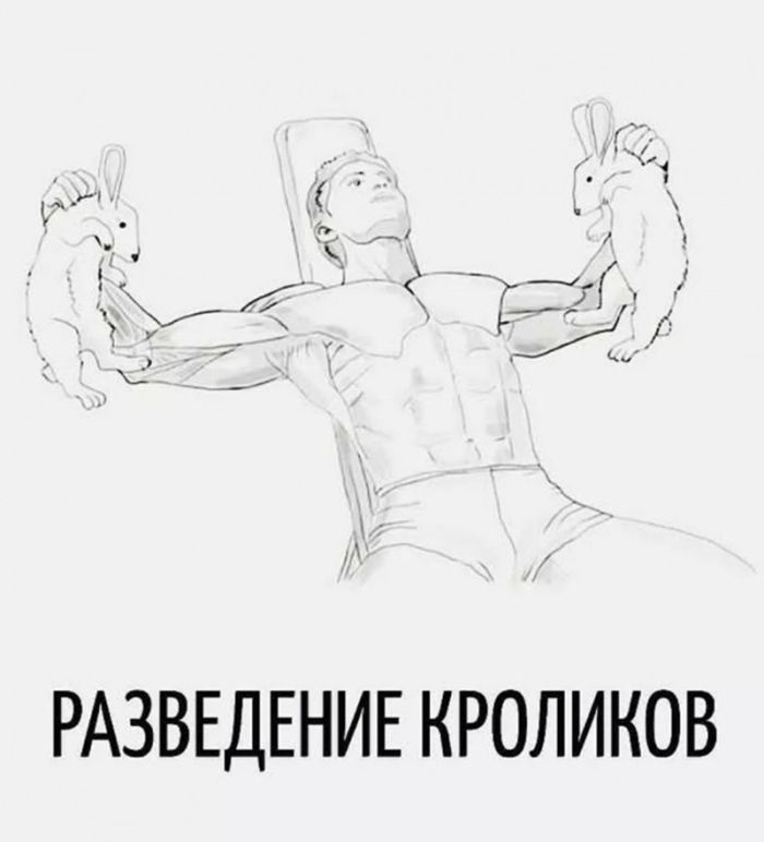картинка 26b1ba8707 zabudte pro politkorrektnost vremja dlja jumora za kotoryj v prilichnom obschestve 7