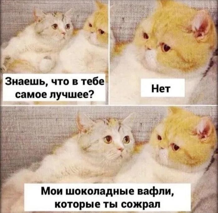 Настроение на нуле? Лови порцию позитива! 😄