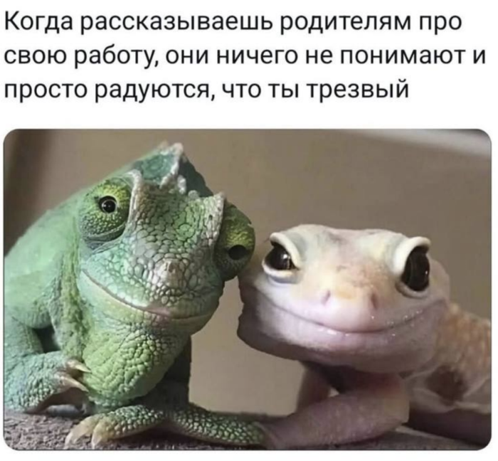 картинка 275662474f 0000000000000