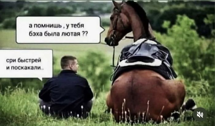 картинка 2a9557f703 21099545