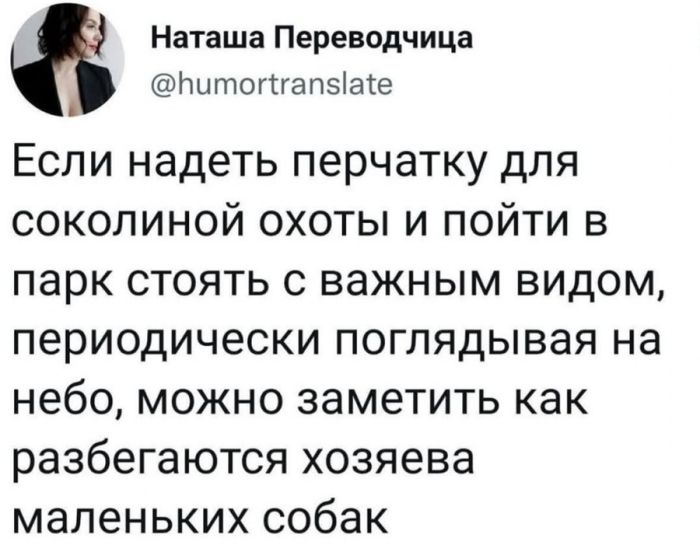 картинка 3b38ad674d chernyj i poshlyj jumor dlja podnjatija nastroenija s prostorov socialnyh setej 12