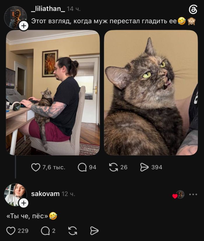 Мемы, над которыми хочется смеяться Мемы, над которыми хочется смеяться Привет, давайте, чистый, позитив, жизненные, Устраивайтесь, поудобнее, наливайте, улыбнемся, серьезности, вместеКакой, понравился, больше, всего, Пишите, комментариях, 💬Предыдущая, только, Никакой, проходит