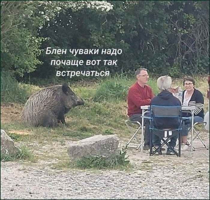 картинка 3ee60b58a5 zabudte pro politkorrektnost vremja dlja jumora za kotoryj v prilichnom obschestve 36