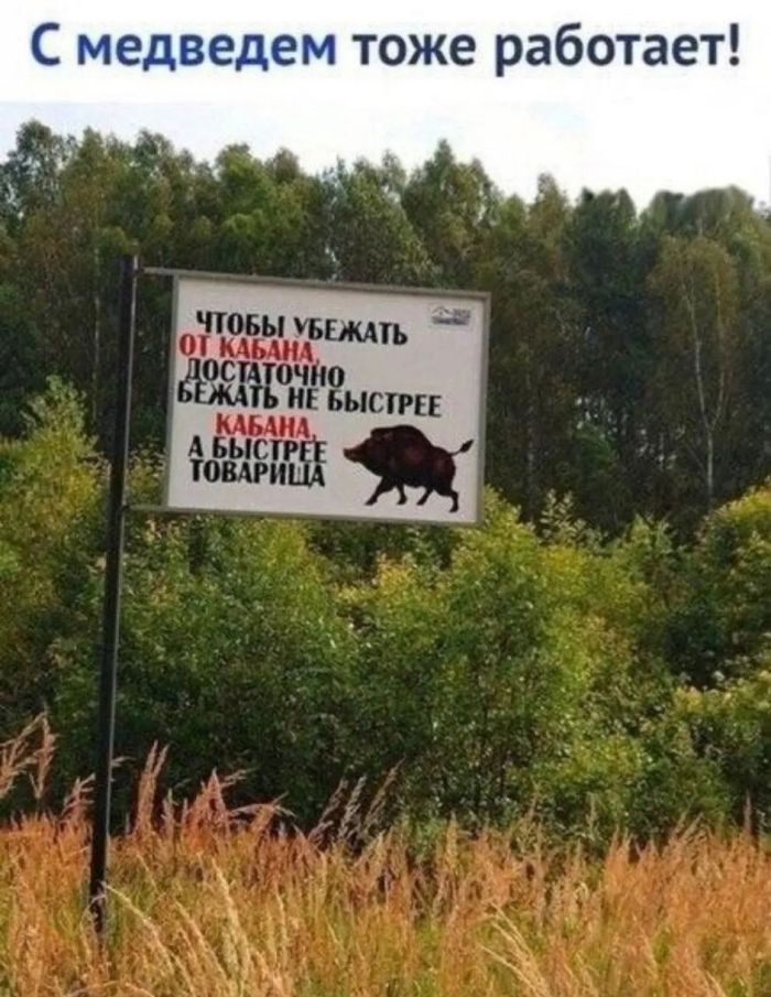 картинка 3fc95d9568 podborka poshlyh memov 6