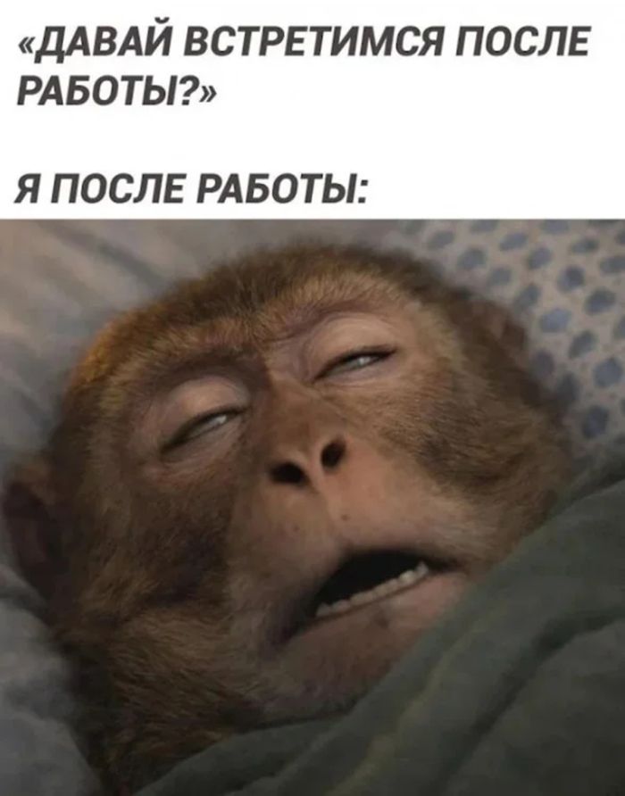 Утро выходного дня: Зарядись позитивом с нашим новым сборником приколов!