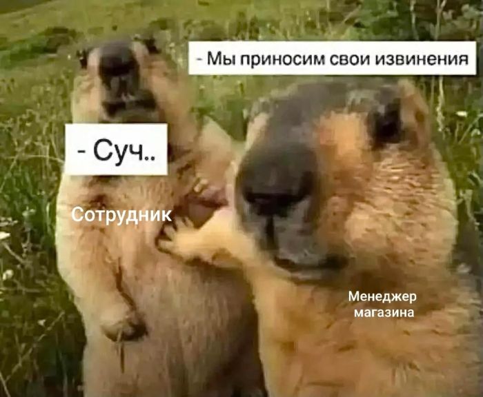 картинка 454a4d8d42 000