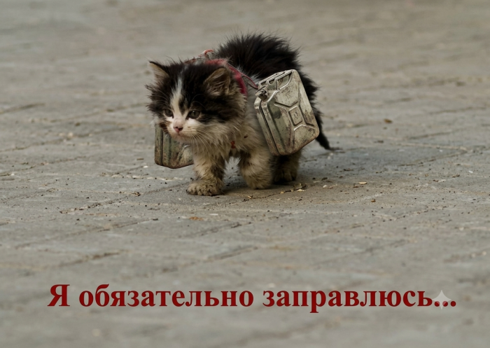 картинка 49f2c16474 000000