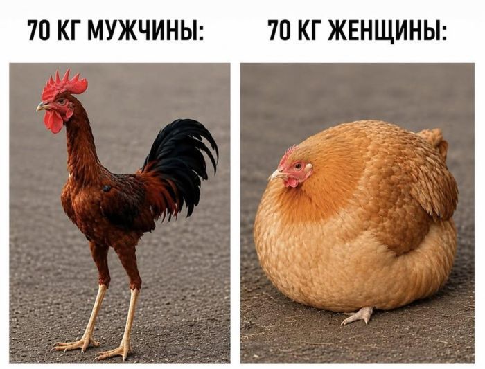 Ура, мы дожили до пятницы! 🎉