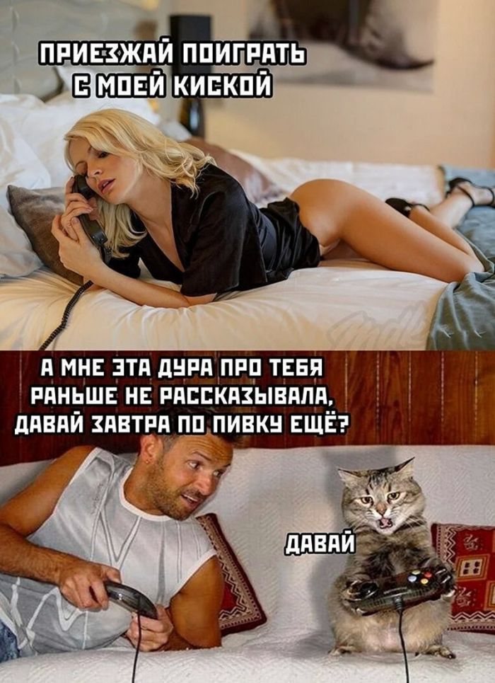 картинка 4c938761eb zabudte pro politkorrektnost vremja dlja jumora za kotoryj v prilichnom obschestve 33