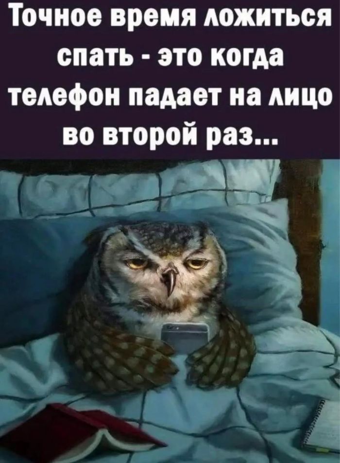 Улыбнись этому дню! Сборник самых смешных мемов и прикольных картинок для твоего позитива! которые, точно, заставят, самые, уморительных, собрали, чтобы, сказать, абсурдный, повороты, интерпретациюНеожиданные, смешную, подарили, каждым, происходят, моменты, бывает, юмораСитуации, когда, шедевр