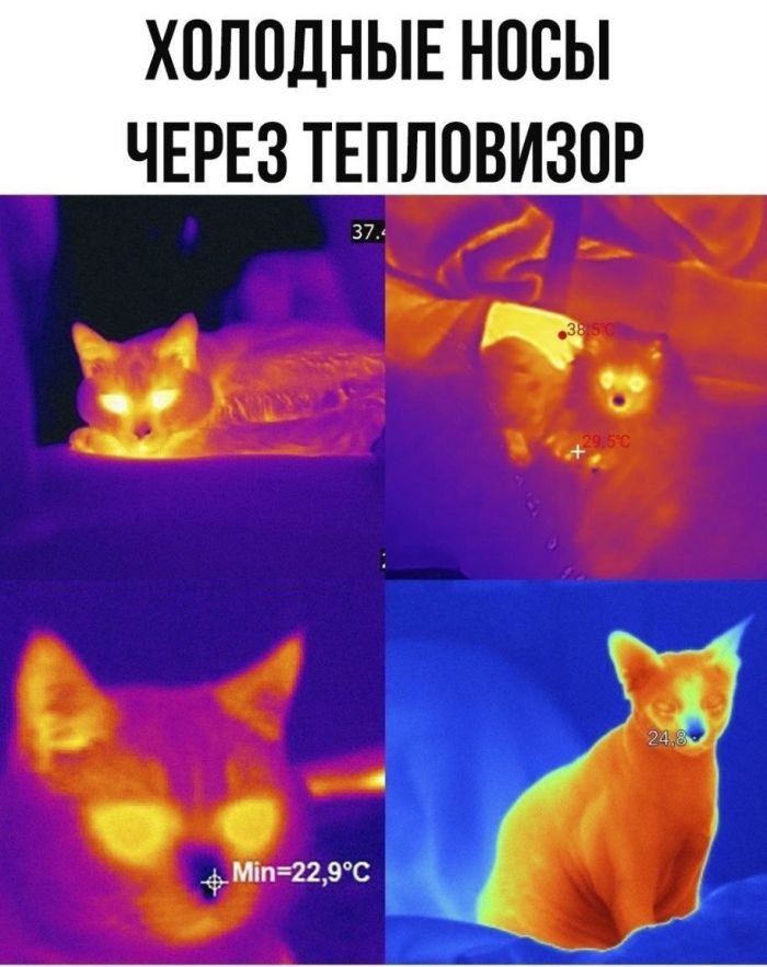 картинка 4dfed299ed ustali ot sereznosti vremja podnjat sebe nastroenie 13