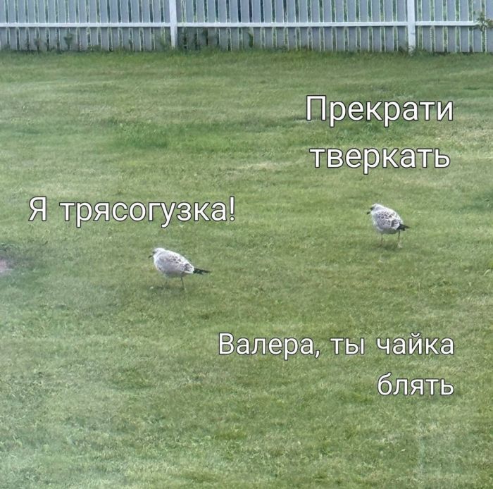 картинка 4e647b2577 00000000000000000000000