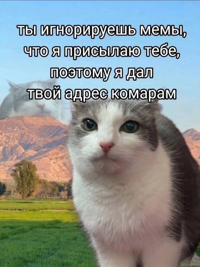 картинка 4f60f7e27d pjatnica malenkaja pobeda 3