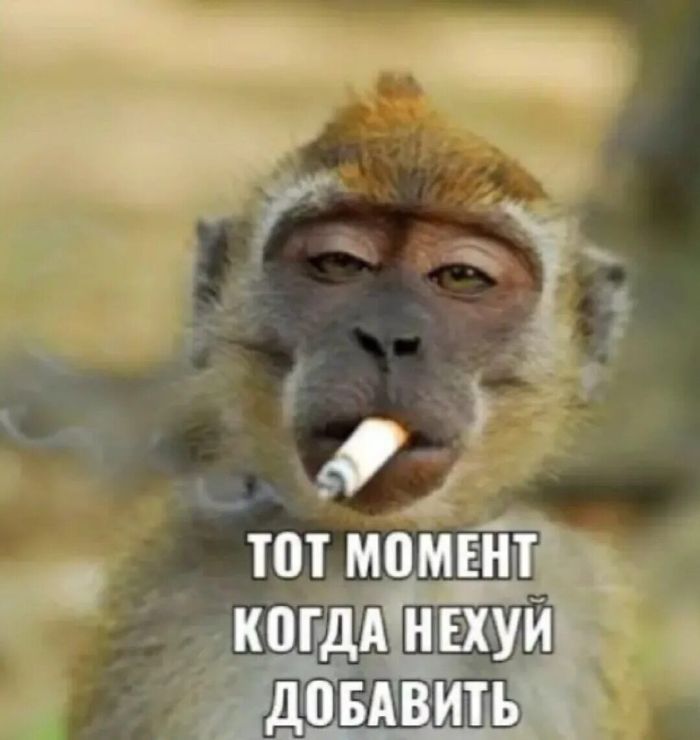 картинка 53a3f05b47 ostorozhno dalshe budet ochen smeshno no tolko dlja teh kto cenit chernyj jumor 22