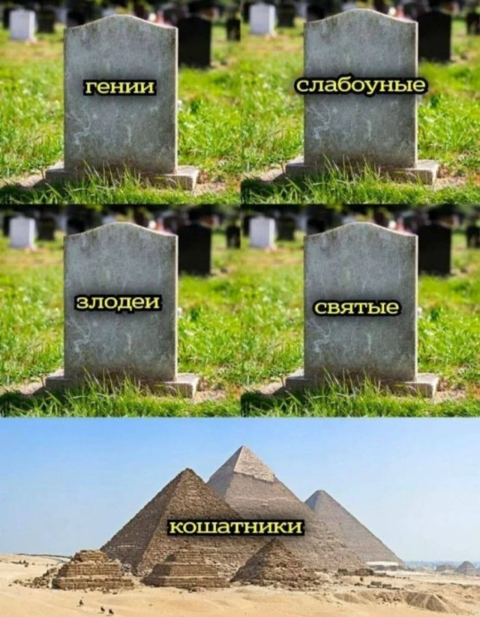 картинка 5539c78976 jumor dnja to chto realno zastavljaet ulybatsja 16