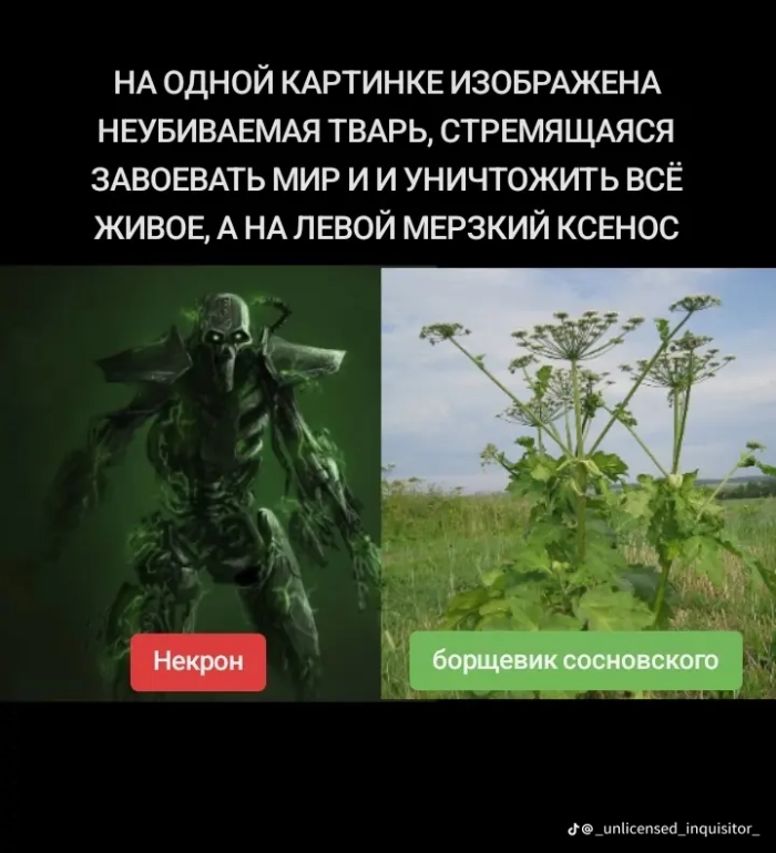 картинка 649ea258cc 000000