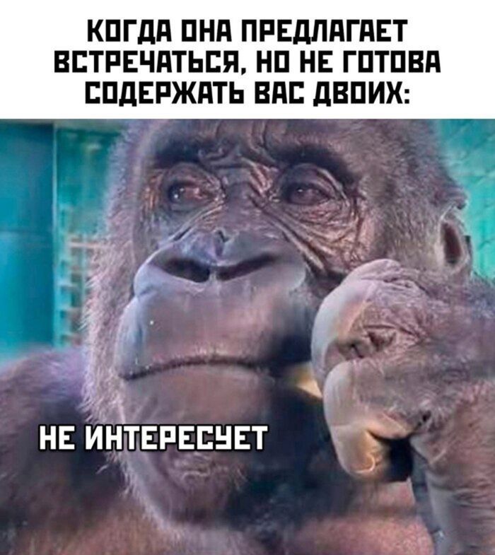 Ну что, готовы немного разгрузить голову? 🚀