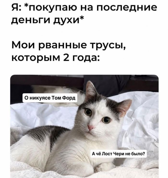 картинка 69d76d0ba4 novyj sbornik memov uzhe zdes7