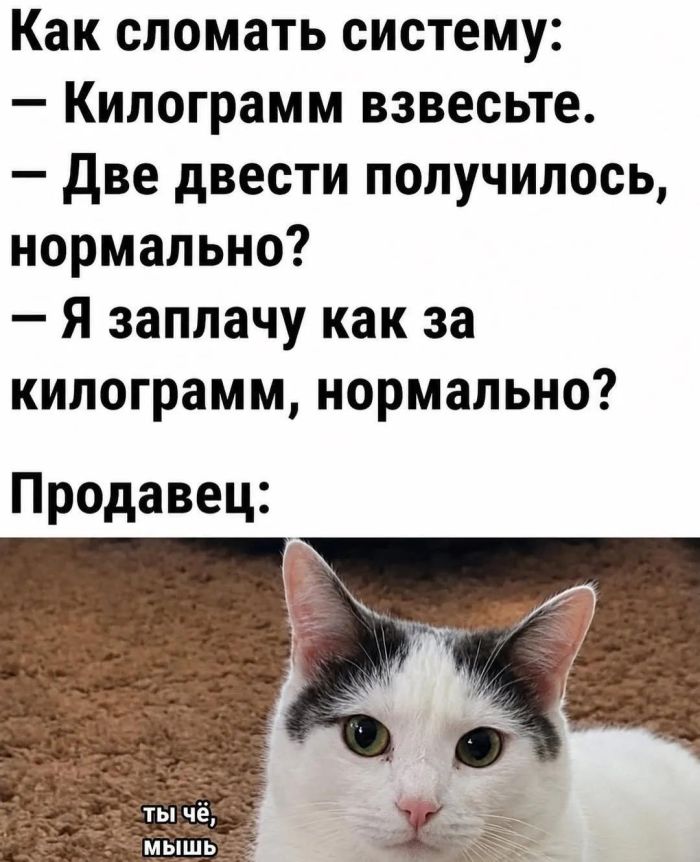 картинка 77884b88a0 000000000000000000000000000