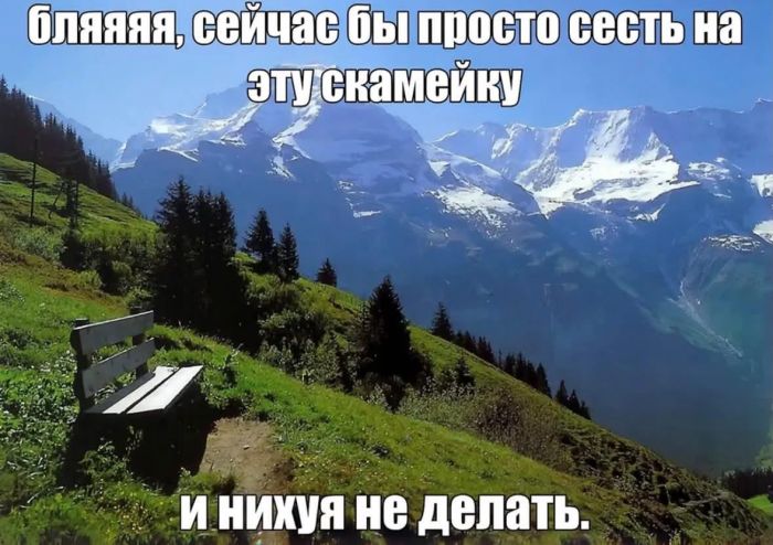 картинка 79a066a720 000000000000000000