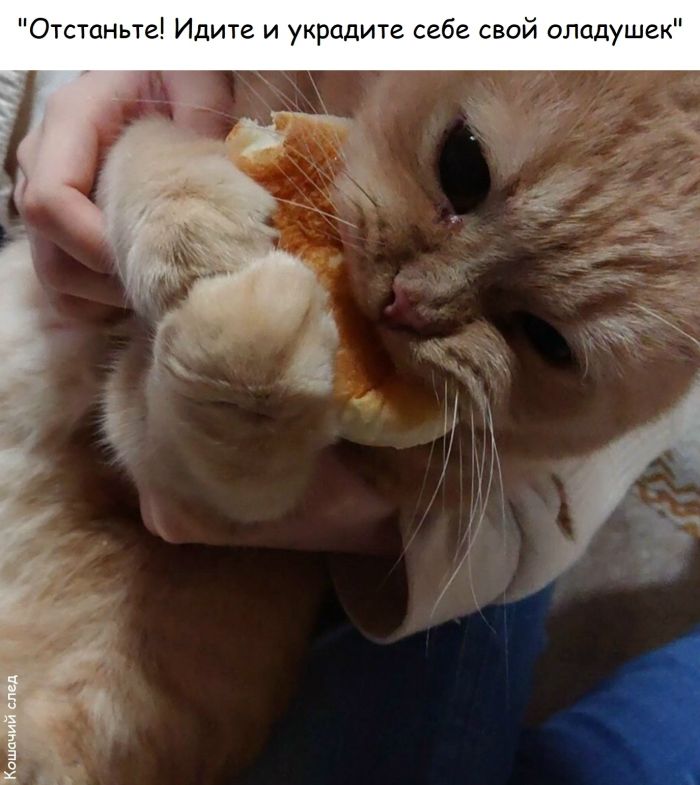 картинка 8211819d3d 00000000000000000000