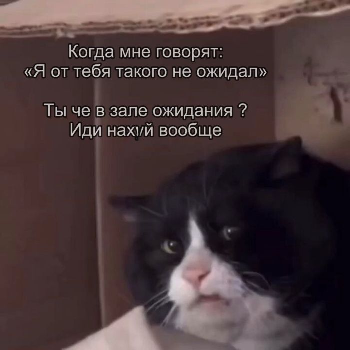 картинка 83eca8c3e6 chernyj jumor v memah i kartinkah dlja teh kto ljubit poschekotat sebe nervy poshlymi shutkami 21
