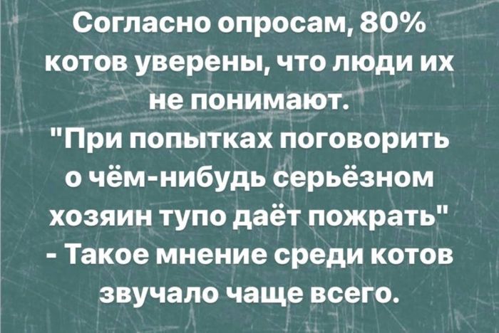 картинка 8db00c6e0a zabudte pro politkorrektnost vremja dlja jumora za kotoryj v prilichnom obschestve 26