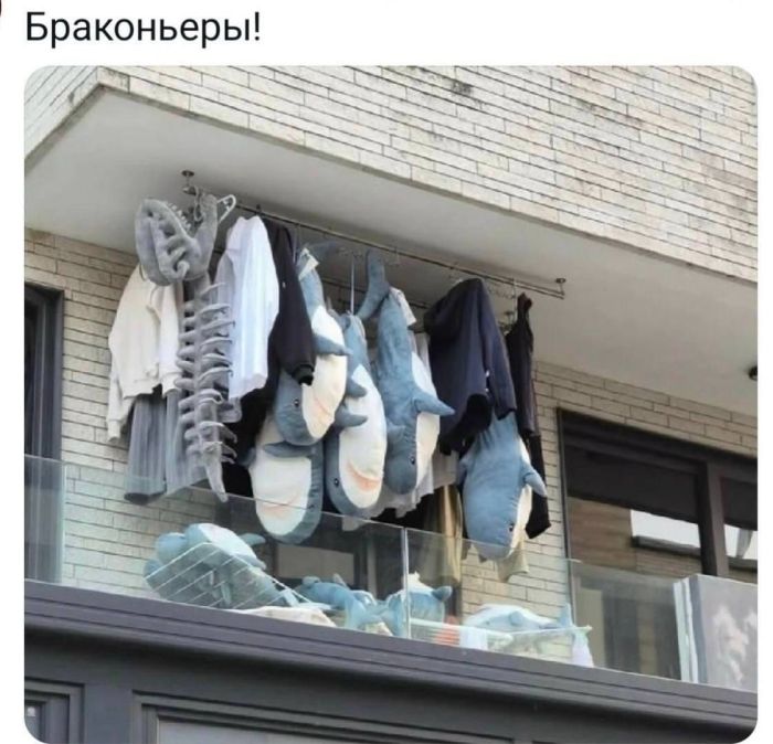 Когда до пятницы — целая вечность: порция юмора, чтобы дотянуть до выходных! 😄 исходе, собрали, позитивом, работеЗаряжаемся, сейчас, каждый, поймет, которые, картинки, уморительные, самые, юмора, пятницы, свежего, порцией, Заряжайтесь, спасти, чтобы, здесь, переживайте