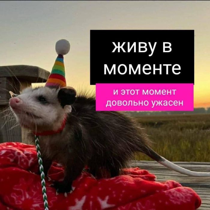 Выходные — это маленькая жизнь, и прожить её нужно с улыбкой! 😊