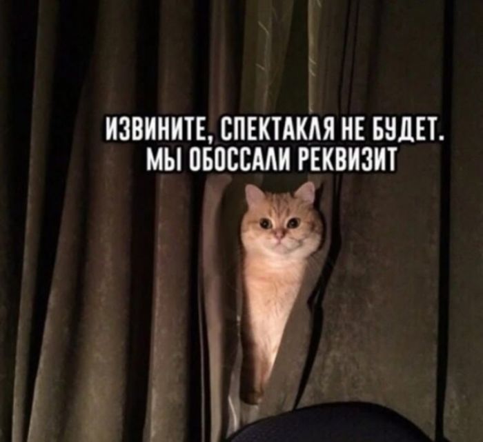 картинка 97e72acc44 ostorozhno uroven cinizma zashkalivaet 14