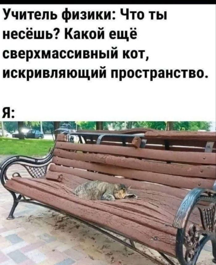картинка 98cc2ffcc6 hvatit grustit zarjazhaemsja porciej otbornogo jumora 14