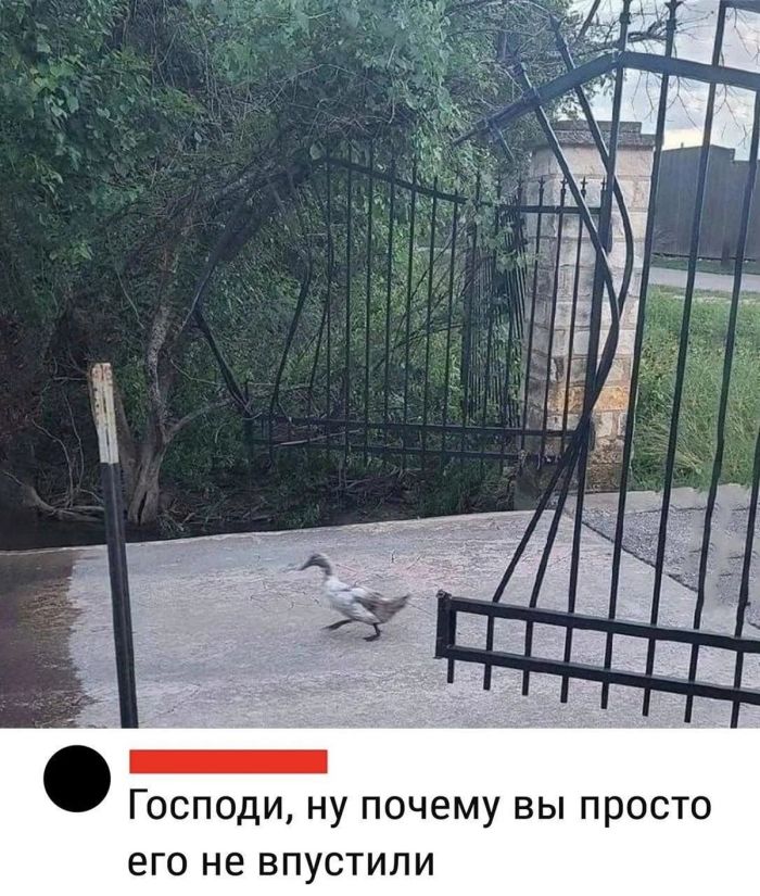 картинка a2ac96a756 chernyj i poshlyj jumor dlja podnjatija nastroenija s prostorov socialnyh setej 17
