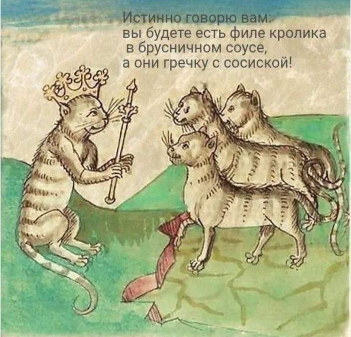 картинка a3a9e440b0 perezagruzka cherez jumor porcija internetklassiki chtoby ulybnutsja 13