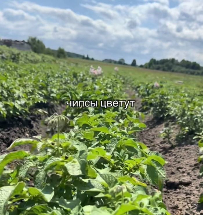 картинка a891ca8dab ostorozhno dalshe budet ochen smeshno no tolko dlja teh kto cenit chernyj jumor 16